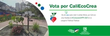 Votación del proyecto CaliEcoCrea