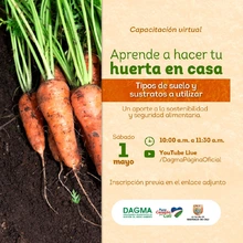 De suelos y sustratos podrán aprender los caleños en el curso virtual “Haz tu huerta en casa” del Dagma.