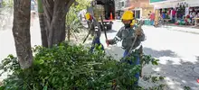 Dagma se levanta por la vida para recuperar ambientalmente nuestra casa común