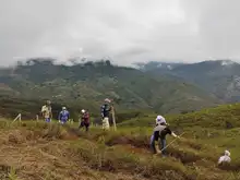 DAGMA y comunidad se unen para sembrar vida