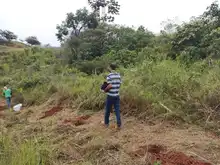 DAGMA y comunidad se unen para sembrar vida