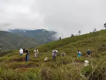 DAGMA y comunidad se unen para sembrar vida