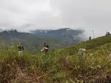 DAGMA y comunidad se unen para sembrar vida