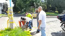Funcionarios de Movilidad trabajan incansablemente en la limpieza de la ciudad