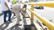 Funcionarios de Movilidad trabajan incansablemente en la limpieza de la ciudad
