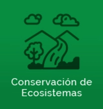 Grupo Conservación de Ecosistemas