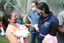 Con éxito se desarrolló jornada de salud animal en la comuna 11