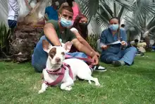Con éxito se desarrolló jornada de salud animal en la comuna 11