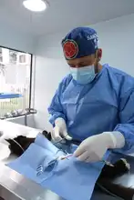 Con éxito se desarrolló jornada de salud animal en la comuna 11