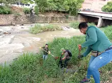DAGMA recolectó 2.2 toneladas de residuos de la ribera del río Cali