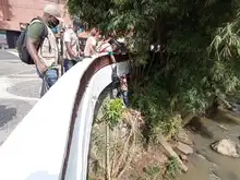 DAGMA recolectó 2.2 toneladas de residuos de la ribera del río Cali