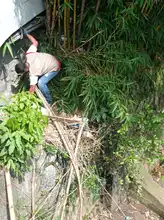 DAGMA recolectó 2.2 toneladas de residuos de la ribera del río Cali