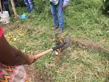 Mediante un taller de crianza de suelo y conexión con la tierra, la comuna 8 aprovecha residuos orgánicos