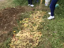 Mediante un taller de crianza de suelo y conexión con la tierra, la comuna 8 aprovecha residuos orgánicos