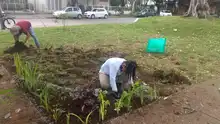 Proyecto Cali Ecocrea ganó concurso Prácticas del Hábitat Urbano y Vivienda, UHPH