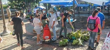 Un mercado campesino de esperanza y reencuentro
