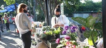 Un mercado campesino de esperanza y reencuentro