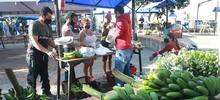 Un mercado campesino de esperanza y reencuentro
