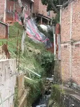 Dagma continúa acciones de educación ambiental en una Cali unida por la vida