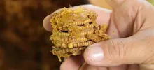 Cali y el Mundo conmemoran el día mundial  de las Abejas