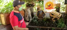 Cali y el Mundo conmemoran el día mundial  de las Abejas