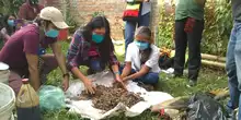 Capacitación alimentación de microorganismos