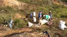 400 kilos de residuos se retiraron luego de desmantelar cambuches en el Cerro de La Bandera