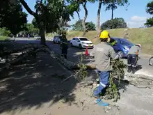 Educación ambiental, otra estrategia desplegada por el DAGMA para atender emergencia sanitaria