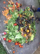 Habitantes del barrio Calima se conectan con la tierra a través de la ‘Agrocultura Urbana’
