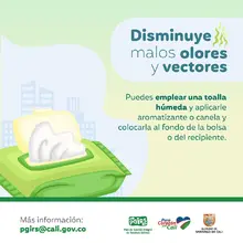 Planeación Distrital adelanta acciones para la correcta disposición y recolección de residuos sólidos