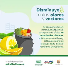 Planeación Distrital adelanta acciones para la correcta disposición y recolección de residuos sólidos