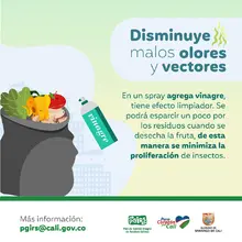 Planeación Distrital adelanta acciones para la correcta disposición y recolección de residuos sólidos