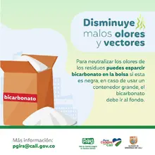 Planeación Distrital adelanta acciones para la correcta disposición y recolección de residuos sólidos