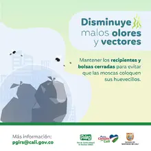 Planeación Distrital adelanta acciones para la correcta disposición y recolección de residuos sólidos