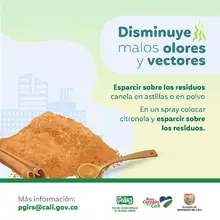 Planeación Distrital adelanta acciones para la correcta disposición y recolección de residuos sólidos