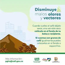 Planeación Distrital adelanta acciones para la correcta disposición y recolección de residuos sólidos