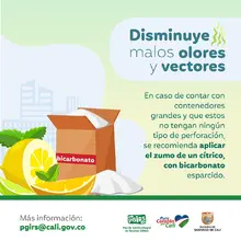 Planeación Distrital adelanta acciones para la correcta disposición y recolección de residuos sólidos