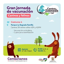 Jornadas de vacunación contra la rabia para caninos y felinos 