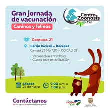 Jornadas de vacunación contra la rabia para caninos y felinos 