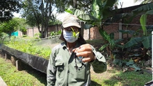 Dagma continúa promoviendo taller de Agrocultura en la ciudad