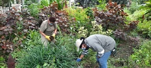 Dagma continúa promoviendo taller de Agrocultura en la ciudad