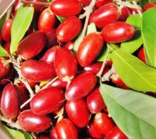 Dagma continúa promoviendo taller de Agrocultura en la ciudad