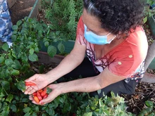 Dagma continúa promoviendo taller de Agrocultura en la ciudad