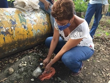 Dagma continúa promoviendo taller de Agrocultura en la ciudad
