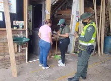 Sector maderero de Cali cada vez asume mejores prácticas ambientales