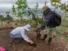 Inició la recuperación ambiental del Predio La Olga