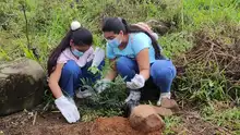 Inició la recuperación ambiental del Predio La Olga