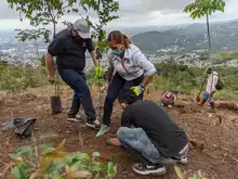 Inició la recuperación ambiental del Predio La Olga