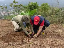 Inició la recuperación ambiental del Predio La Olga