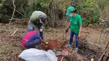 Inició la recuperación ambiental del Predio La Olga